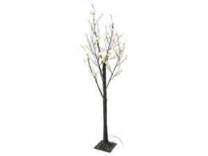 kaemingk silberdollarbaum chollitos frontal