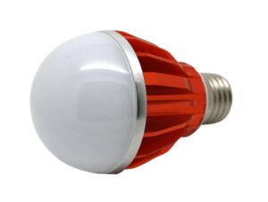 bombilla led5wbn frontal