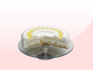3343 00 plato 3343 00 frontal