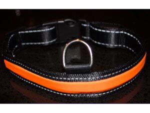collar para perro collarperro frontal