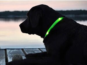 opcion 9 12 collar collarledverde frontal