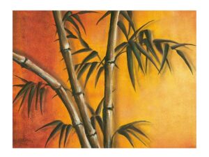 lamina decorativa eurographics cw1029 frontal