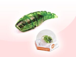 giro larva insecto b005lj06fo frontal