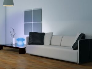 ambiental fungui frontal