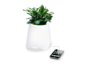 macetero ambiental muse ml 10pc frontal