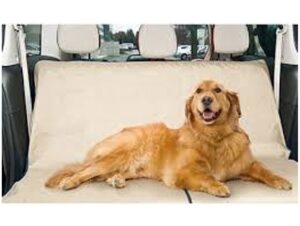protector para coche mascotacoche frontal