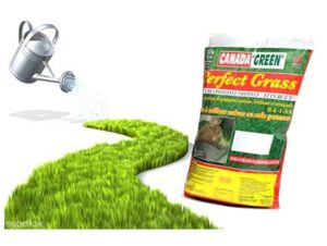 perfectgrass frontal