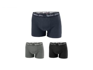 boxer 3boxerm frontal