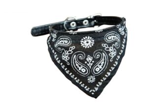 collar panuelo collarbandana n frontal