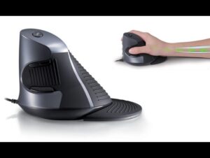 mouse orientamento chollitos frontal